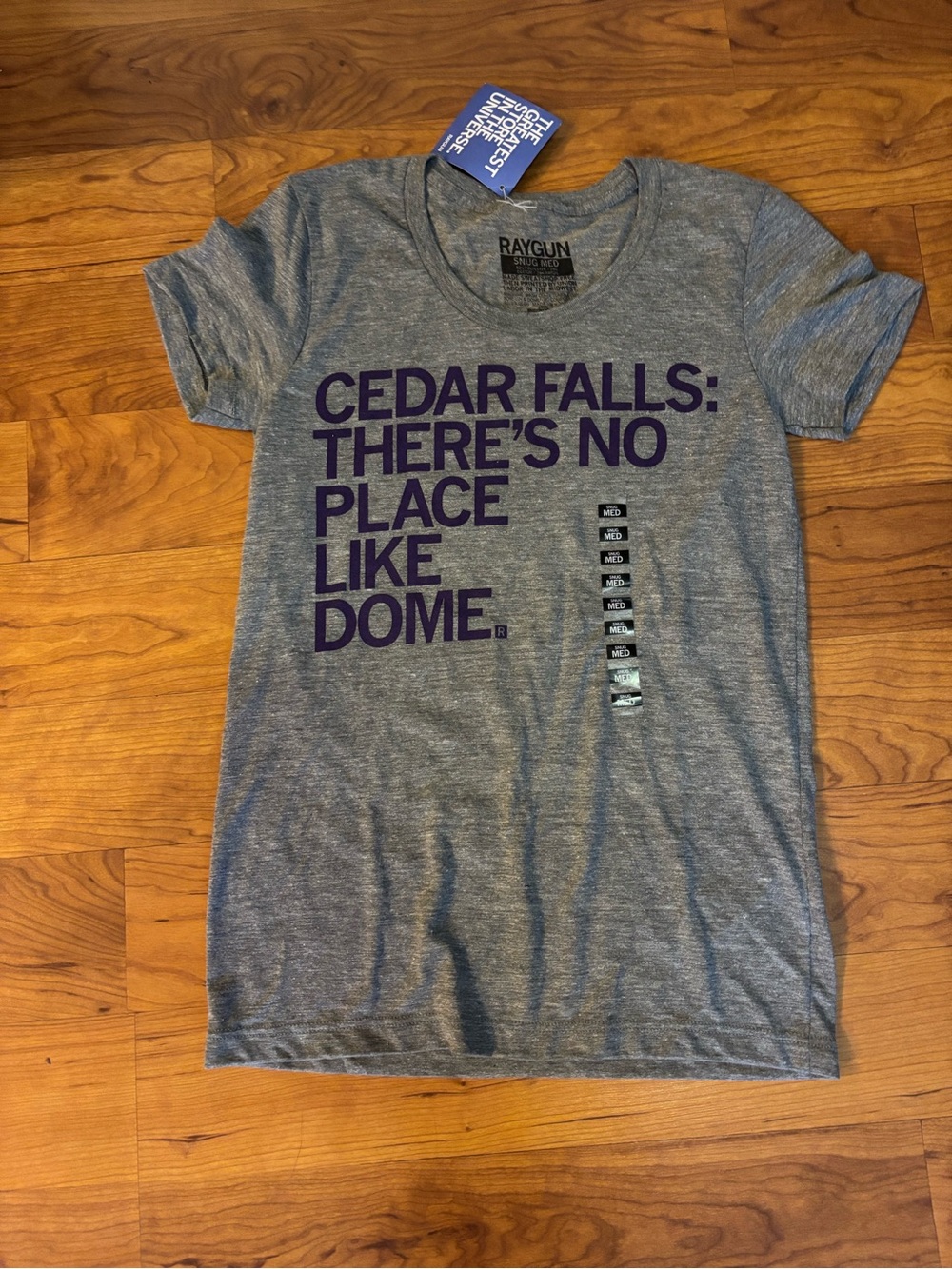 Raygun Grey Tee with Purple Cedar Falls Slogan